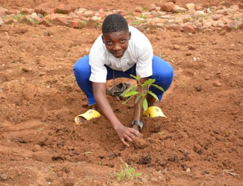 Schools are Grateful for Fruit Tree Planting